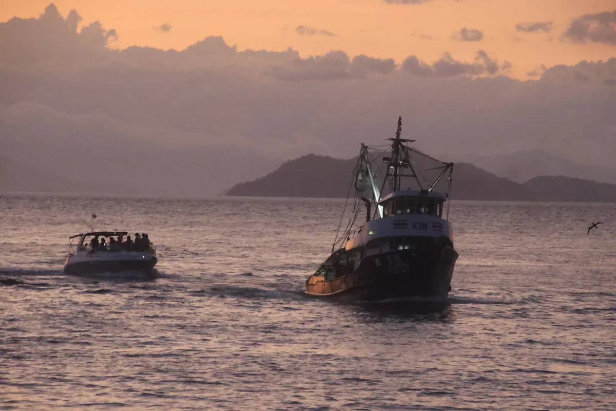 What Is Included in a Costa Rica Scuba Excursion? (Duration & Inclusions Explained)