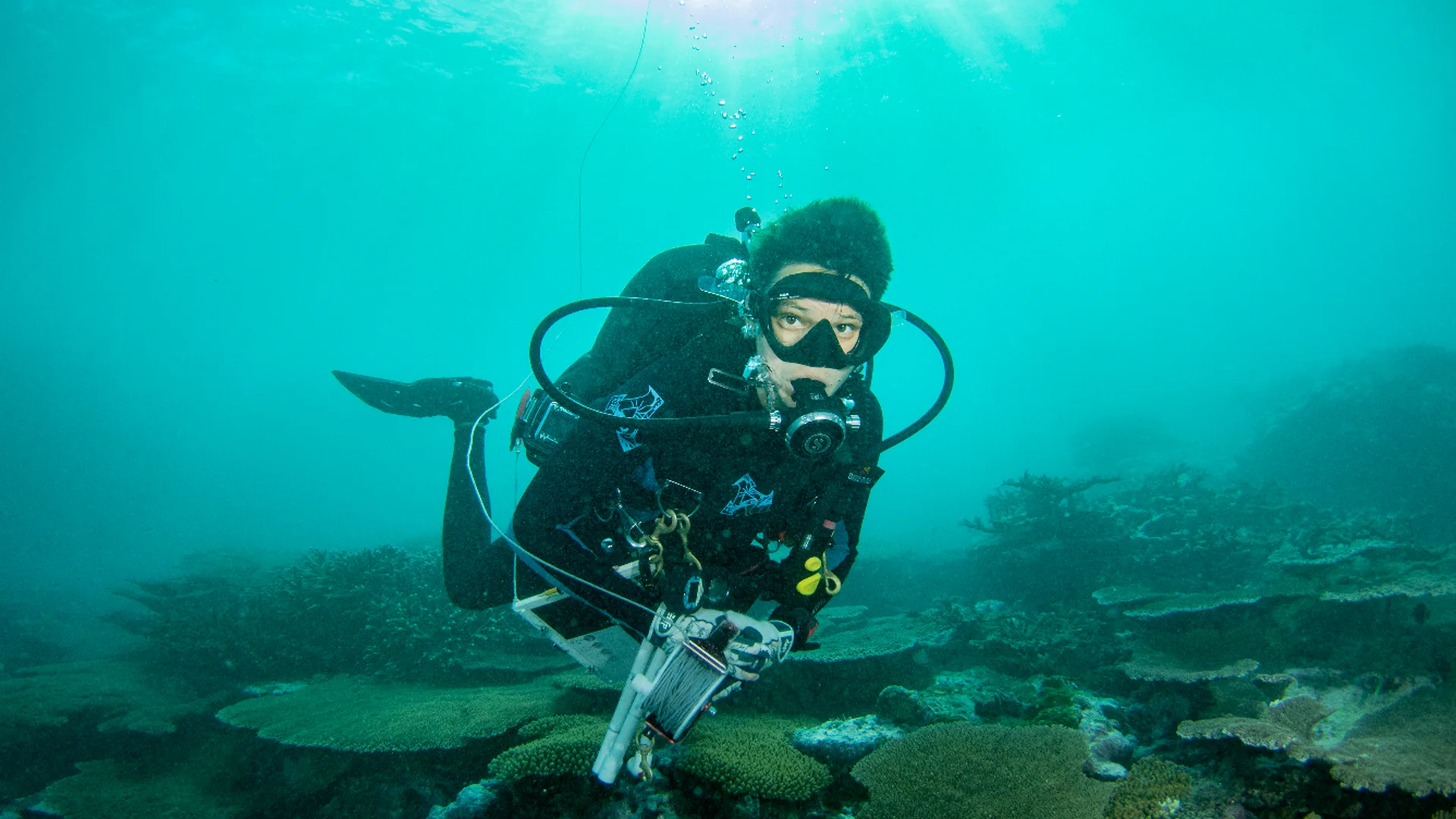 Scuba diver exploring tropical volcanic reef below the surface in Costa Rica