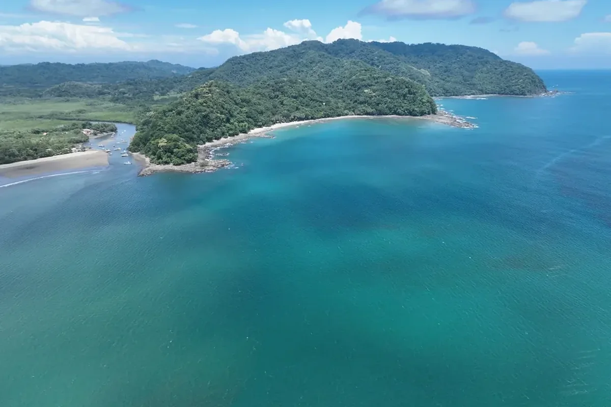 Refresher Scuba Diving Course & 2 Guided Ocean Reef Dives
