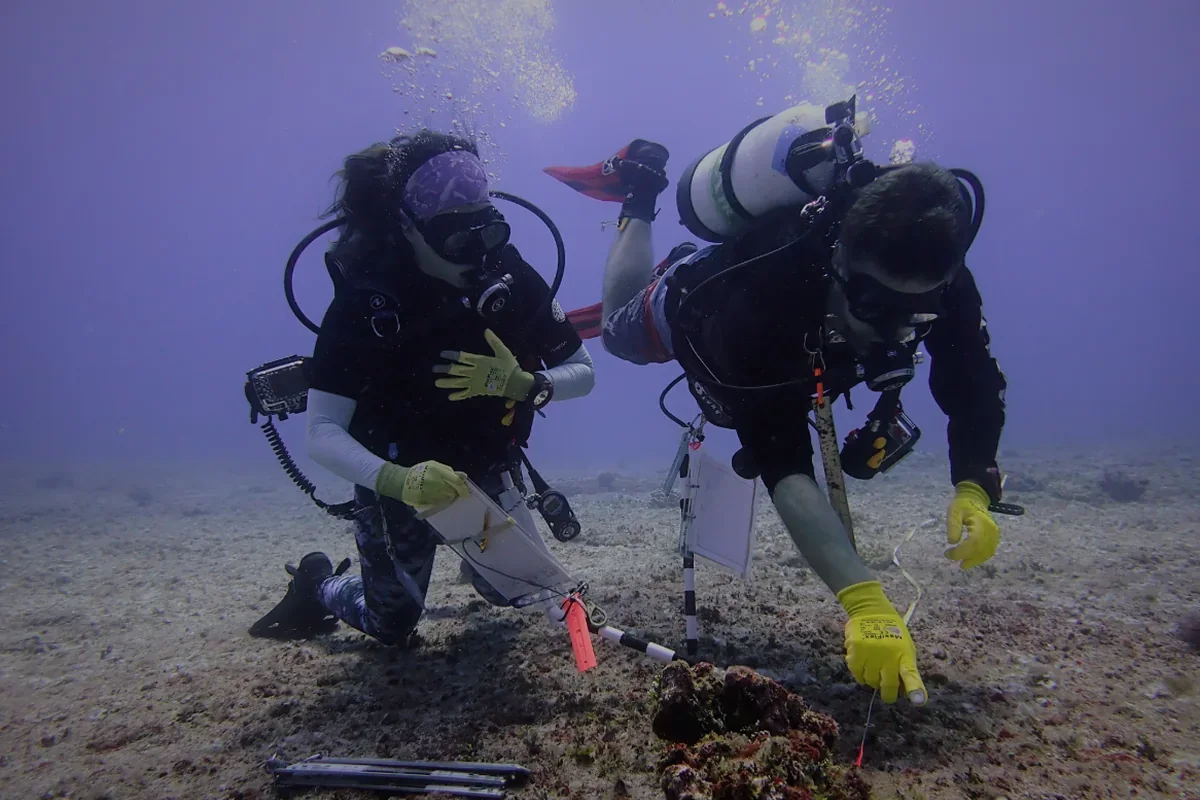 Certified Divers